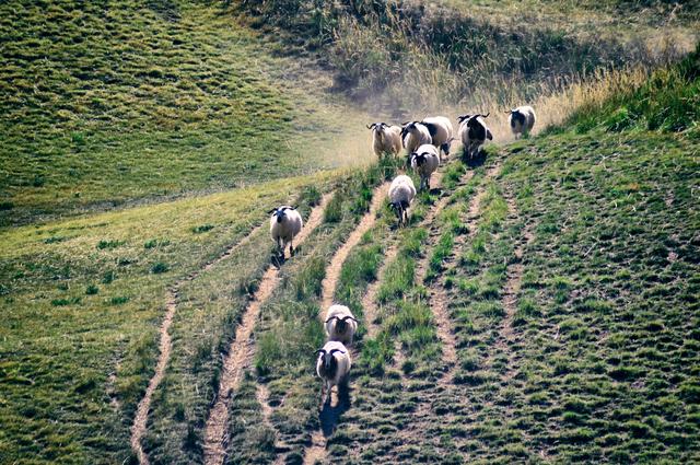 祁连山的位置，祁连山的位置图片（我们自驾走进祁连山国家级自然保护区）