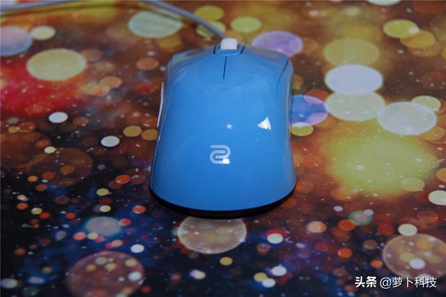 divina跳蚤防治，吡虫啉灭跳蚤（职业FPS选手标配）