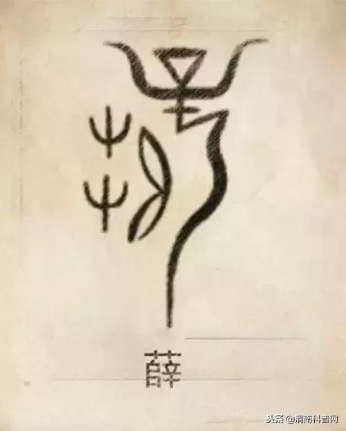 一个草字头一个吕，草字头加吕什么字（中国100大姓氏起源、图腾）