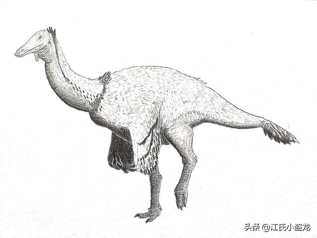 re网名的含义，Re微信昵称（2020古生物学家到底命名了多少种恐龙）