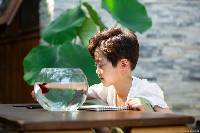 好听霸气的名字，好听霸气的名字男生（好听又霸气的男孩名字）