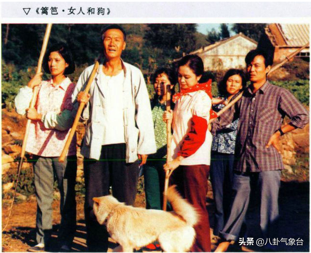 李明启个人资料，李明启个人资料简介（5个“恶婆婆”专业户演员）