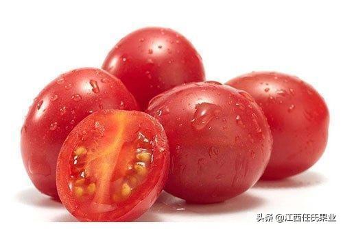 圣女果的功效与作用，圣女果的功效与作用营养（喜欢吃圣女果的人要注意了）