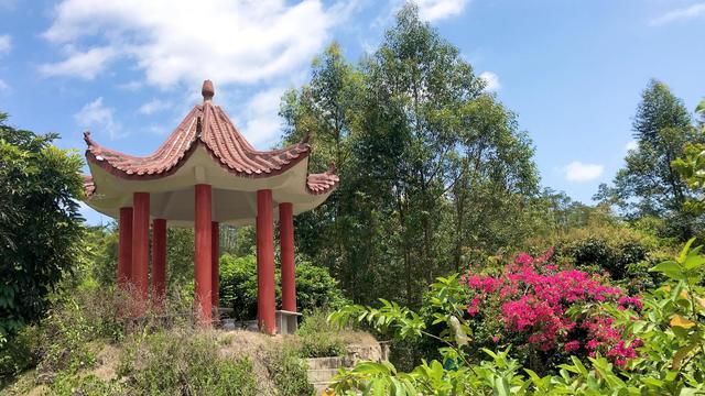 厦门同安莲花山，厦门十大名山是什么（闲游同安莲花山）