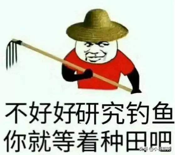 抖音爆火钓鱼口诀100句全收录，新手老手必备实战技巧速成指南