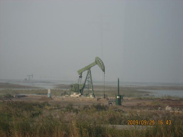 黄河入海口在哪个城市，黄河入海口在哪里（但你见过黄河入海口吗）
