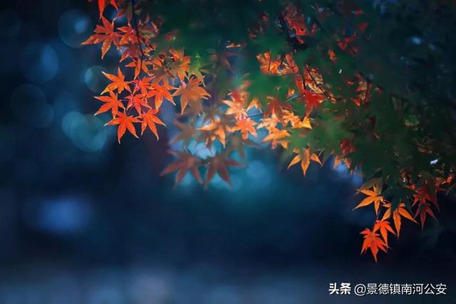 人情冷暖的诗句，描写世态炎凉 人情冷暖的诗句（解开了很多人的心结）