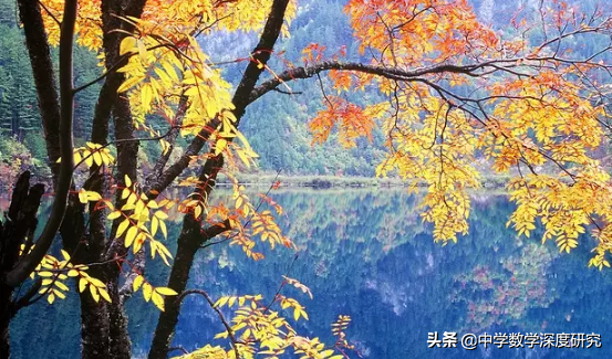 温故而知新是什么意思，温故而知新的而什么意思（什么样的人是成人了）