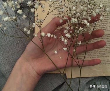 拍抖音说说文字，拍抖音的说说图片带文字（抖音很流行的经典句子说说）