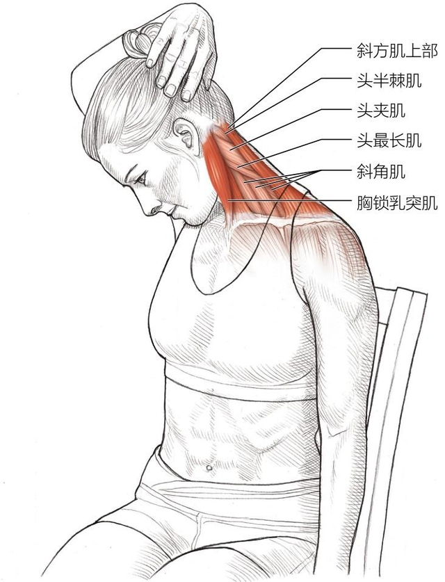 舞蹈动作里扭动脖子技巧，舞蹈动作里扭动脖子技巧视频（僵硬还不懂拉伸怪我了）
