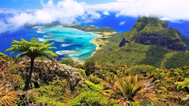 言不信者行不果，言不信者行不果是哪个人讲的（志不强者智不达）