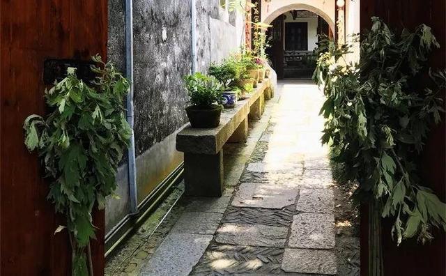 艾草能驱蚊子吗，艾草驱蚊吗（比花露水还管用）