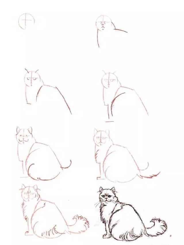 简笔画小猫教程，小猫简笔画一步一步教（8步教你学会画各种猫简笔画）