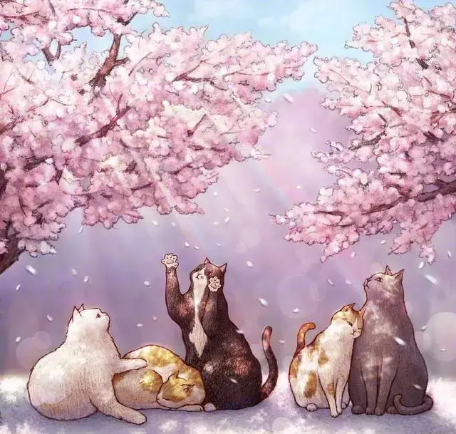 可爱的个性签名，可爱个性签名（适合做个签的温柔可爱小句子）