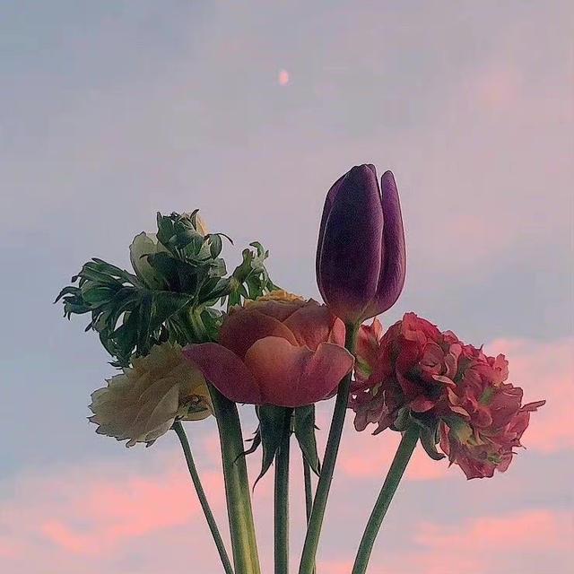 妻子出轨怎么办，发现妻子出轨怎么办（聪明的男人通常这样做）