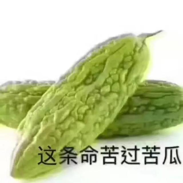 b站三怂代表了哪三类游戏，为什么沙雕游戏总是能火得莫名其妙