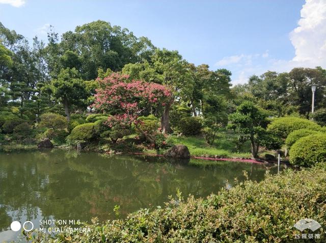 国航最高级别什么卡，国航白金卡什么级别（经济舱也能享受贵宾室、提前选座等权益）