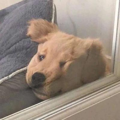 高端逗比的游戏名字，高端逗比的游戏名字五个字（搞笑有趣的昵称名字高端逗逼-可爱点）