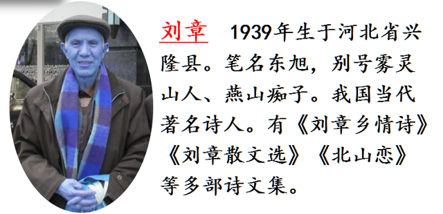 人影绰绰的意思，人影绰绰的意思绰绰的意思（部编版语文五年级第二单元《搭石》思维导图来了）