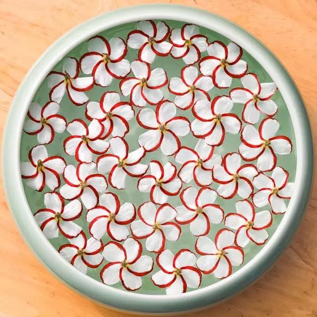 绿萝好养吗,绿萝怎样栽培(绿萝竟然排在倒数第1) 绿萝好养吗,绿萝怎样栽培(绿萝竟然排在倒数第1)