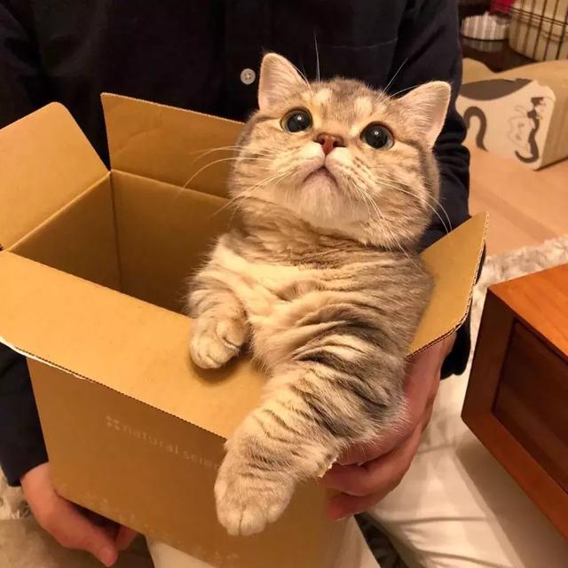 全世界晚安图片，我对全世界说晚安，唯独对你说喜欢。，微信头像（我对全世界说晚安）