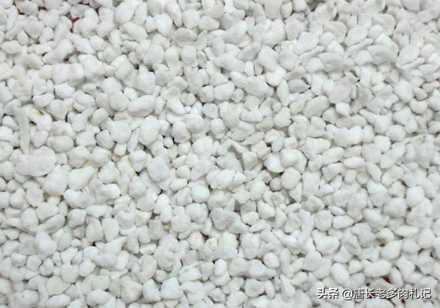 多肉颗粒土有哪些，其实珍珠岩并不好