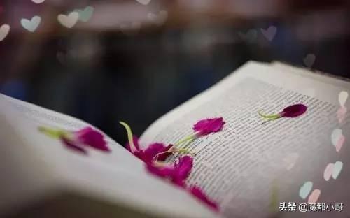 带龙的四字成语有哪些，带龙字的四字词语有哪些（儿童成语大全）