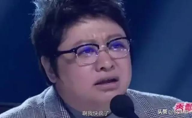 还音是什么意思，唱歌还音是什么意思（和打压新歌手的韩红）