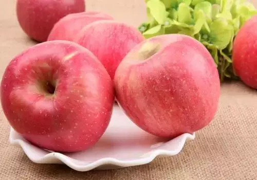 秦冠苹果有什么特点，秦冠苹果的特点（竟不知道它有这么多的品种）