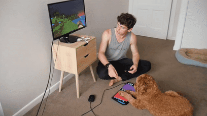 我的世界狗怎么驯服，网友教自家狗子玩《我的世界》