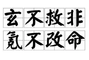 乌鸡鲅鱼是什么梗，盘点00后大学生网络流行语