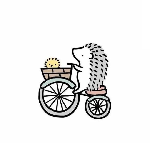 美好阳光且干净的女生头像  星空迷上了山野微信，美好阳光且干净的女生头像  星空迷上了山野，有雾有灯也有归人。（有哪些好看非人物的头像）