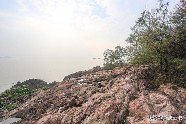 合肥旅游景点大全，合肥的旅游景点有哪些最出名（11月合肥最值得打卡的6个宝藏景区）