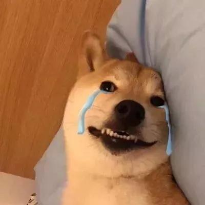 qq怎么设置拒绝任何人添加好友,QQ怎么设置拒绝任何人添加好友(年前封杀的功能,终于回来了) qq怎么设置拒绝任何人添加好友,QQ怎么设置拒绝任何人添加好友(年前封杀的功能,终于回来了)