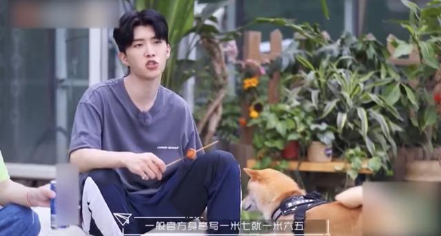 张大大真实身高是多少，张大大多高（范丞丞\