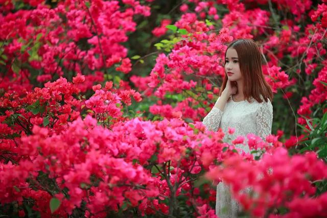 春的故事，春的故事 方鸿渐第一版主（《春天的故事》<原创文>）