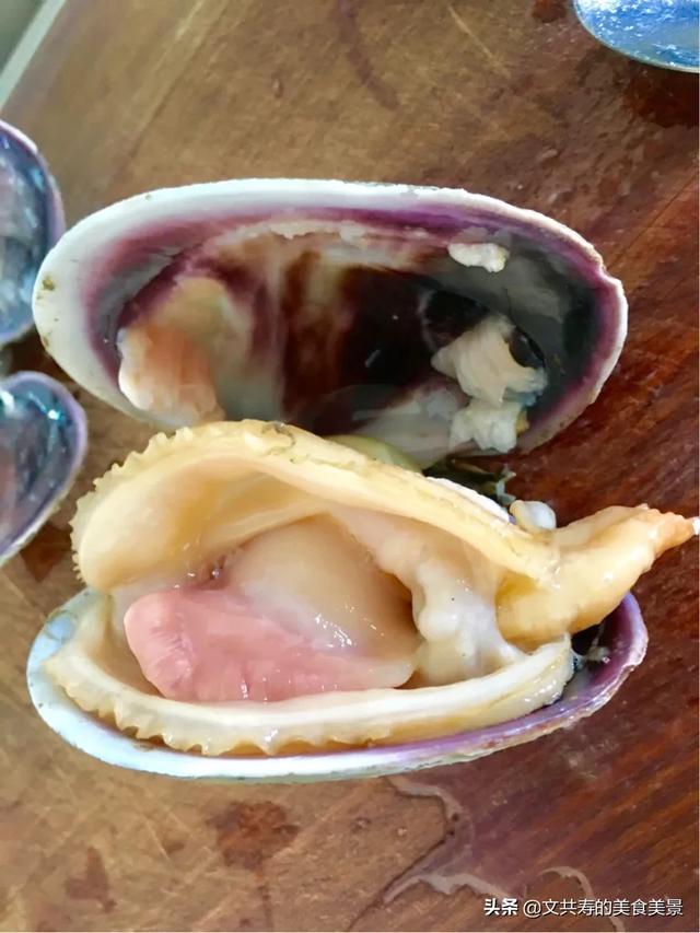 天鹅蛋怎么吃，仙人球天鹅蛋怎么吃（威海美食——用天鹅蛋包的水饺）