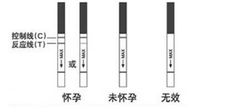 怀孕几天能测出来验孕棒，怀孕几天能用测孕棒测出来（如果怀孕了，几天能测出来）