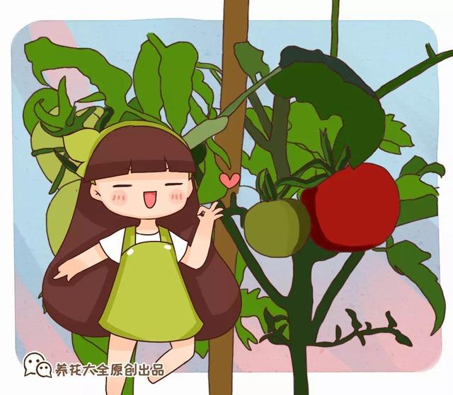 家里有鼻涕虫怎么消灭，鼻涕虫怎么彻底消灭（自制天然杀虫水）