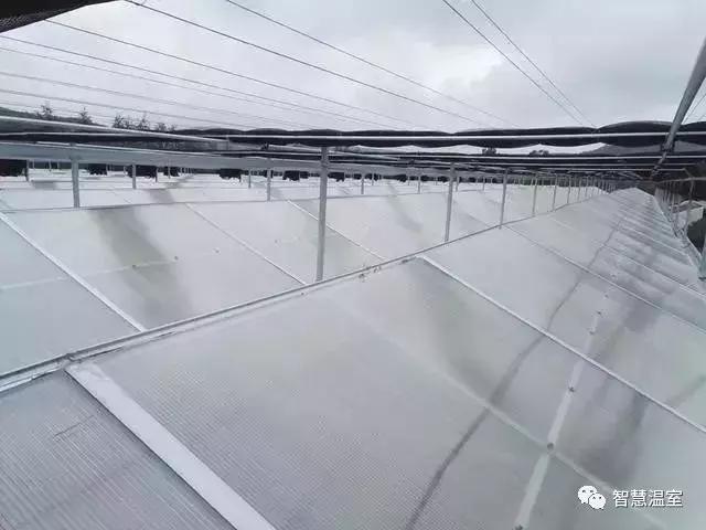 遮阳网6针12针有什么区别，遮阳网四针六针区别（温室大棚遮阳网的那些事儿）
