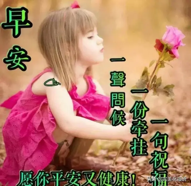 人生就像蒲公英，人生就像蒲公英看似自由却身不由己经典美文（人生就像蒲公英 看似自由 却身不由己）