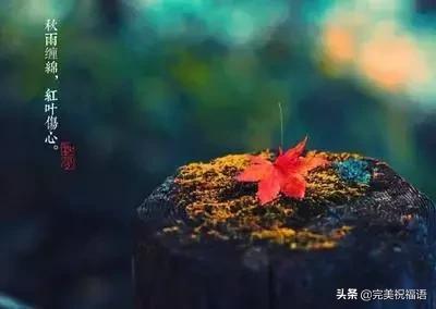 秋分祝福短信，金秋祝福短信（明日秋分，祝福送给您）