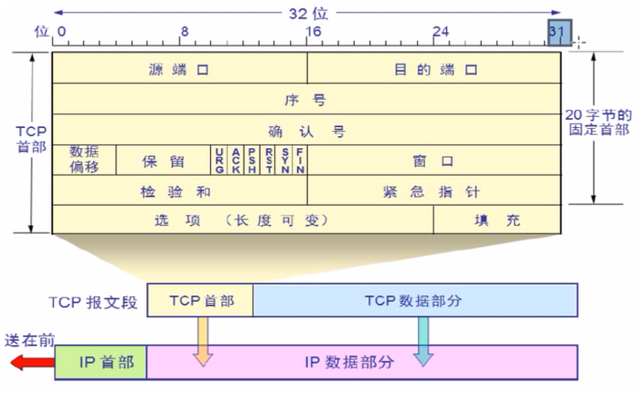 arp协议的主要功能是，arp是什么（TCP/IP协议栈及网络基础）
