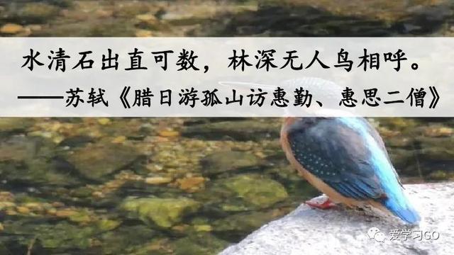 赛跑的拼音，赛跑的拼音怎么读（部编版二年级下册第23课《祖先的摇篮》知识点+图文讲解）