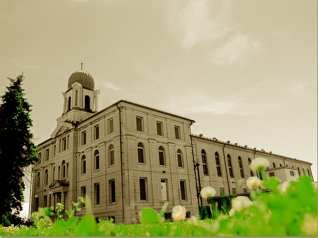 加拿大女王大学，加拿大女王大学排名2019（初次认识，请多指教）