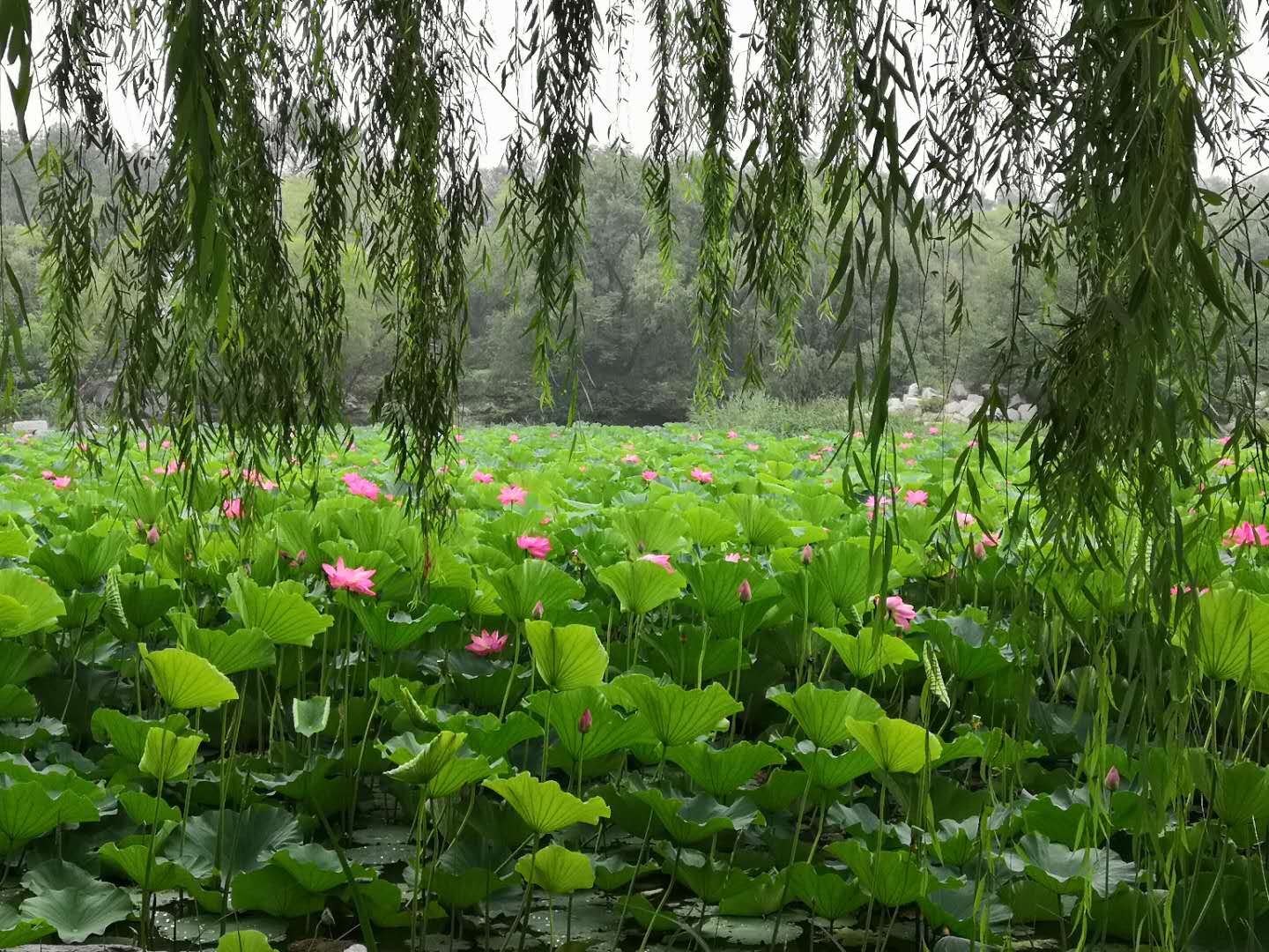 学会计是不是要数学好才可以（数学太难）