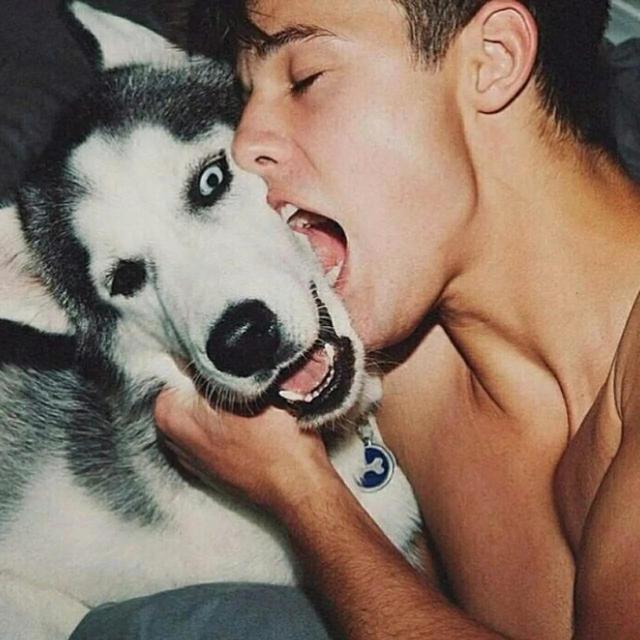 欧美 唯美，欧美唯美（欧美唯美小清新壁纸图片）