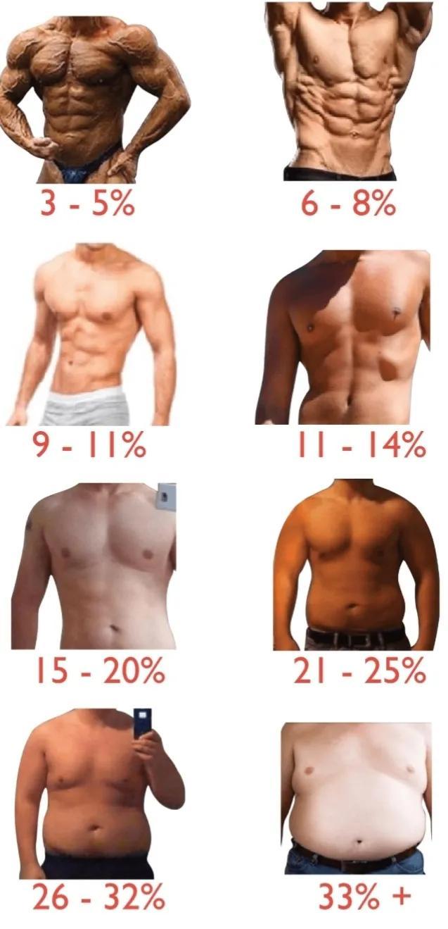 脂肪率是什么意思，体脂肪率是什么（体脂率-及脂肪相关知识）