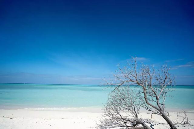 仙本那是哪个国家，仙本那 民族（这里有份攻略请收藏）