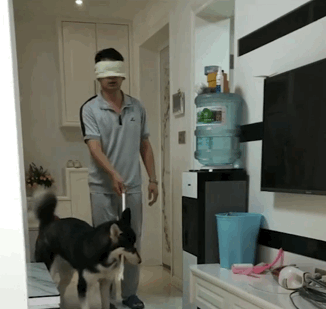 哈士奇和二哈是不是同一种狗，论二哈跟哈士奇的区别